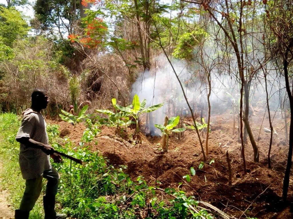 Melt Group visita la Mina de Bauxita de Kotobi en Costa de Marfil - Melt Group