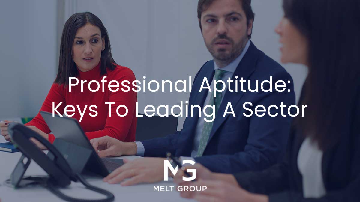 professional-aptitude-keys-to-leading-a-sector-melt-group